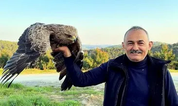 Ormanda bulunan yaralı yavru kartal tedavi altına alındı #istanbul