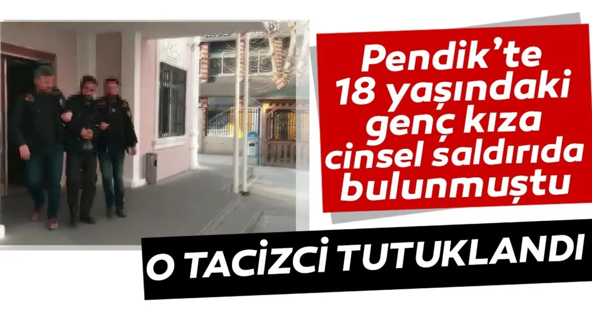 Son Dakika Haberi Genc Kiza Cinsel Istismarda Bulunmustu Pendik Teki Cinsel Saldiriya Tutuklama En Son Haber