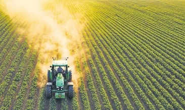 Aşırı sıcaklar tarımı vuruyor