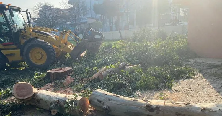 CHP’li belediye restoran için ağaç katliamı yaptı