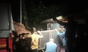 At kesimi ihbara takıldı! #duzce At kesimi ihbara takıldı! #duzce