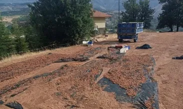 Malatya’da sağanak yağış etkili oldu