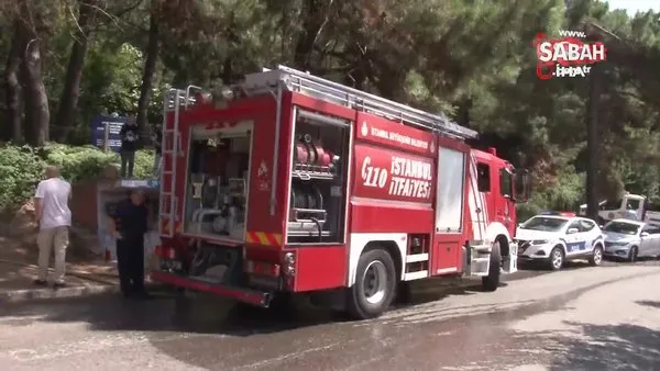 Aydos Ormanı’nda küçük çaplı yangın çıktı: İki kişi kaçtı iddiası | Video
