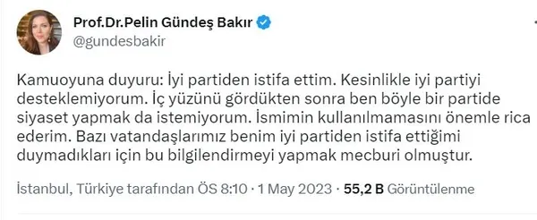 Akşener'e bir istifa şoku daha! Pelin Gündeş Bakır: İYİ Parti'nin iç yüzünü gördüm