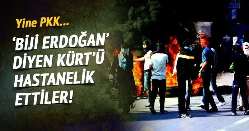 Biji Erdogan Diye Bagiran Kurt E Pkk Lilar Saldirdi Sayfa 3 Son Dakika Haberler