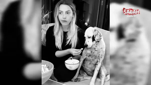 Ünlü şarkıcı Hadise, sevgilisi Kaan Yıldırım'ın köpeği Benek ile film keyfini paylaştı | Video