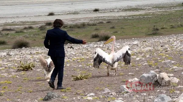 Burdur'da doğal yaşam köyü Lisinia'ya bu yıl 300 bin ziyaretçi bekleniyor