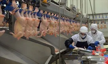 Tavuk eti üretimi eylülde yüzde 5,7 azaldı
