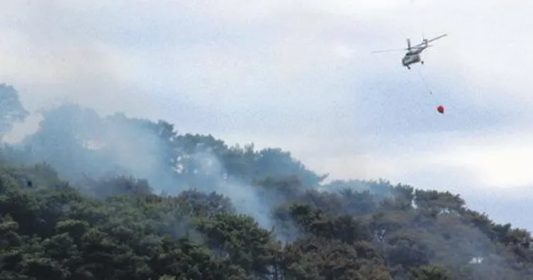 Bodrum’da 3 hektar orman yandı