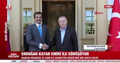 Son Dakika: Başkan Erdoğan Katar Emiri Al Sani ile görüştü | Video