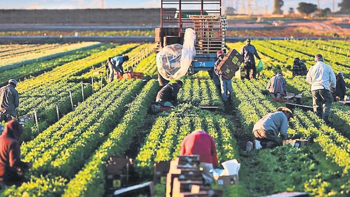 Kırsaldaki girişimciye 1.7 milyar destek Kırsaldaki girişimciye 1.7 milyar destek