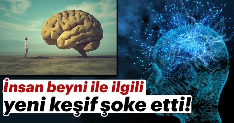 İnsan beyni ile ilgili keşif şoke etti