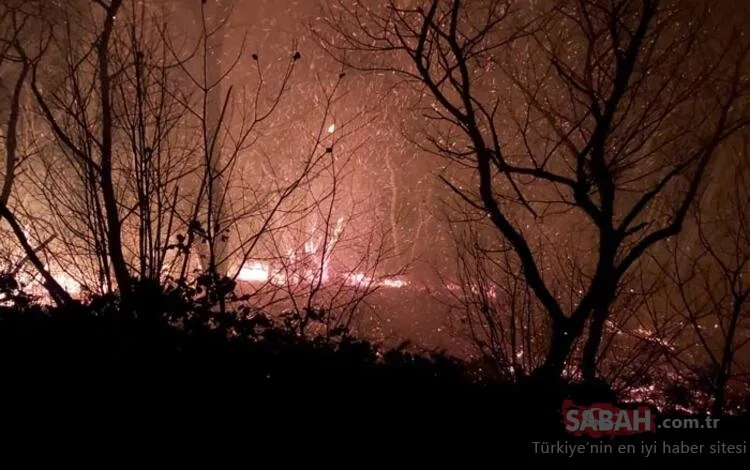 Karadeniz'de 26 noktada orman yangını: 5 ev kül oldu, tarım arazileri zarar gördü
