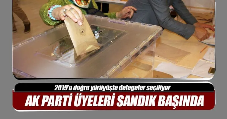 AK Parti’de delege seçimleri yapıldı