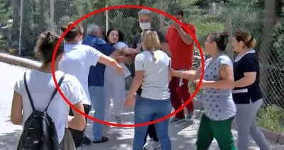 Ankara’da sokak köpeklerini besleyen kadına saldırı anı kamerada | Video