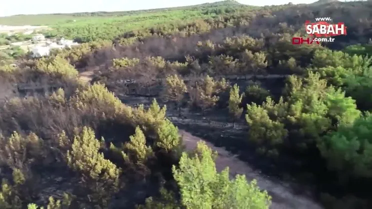 Balıkesir Ayvalık'ta orman yangını: Tahribat havadan görüntülendi | Video