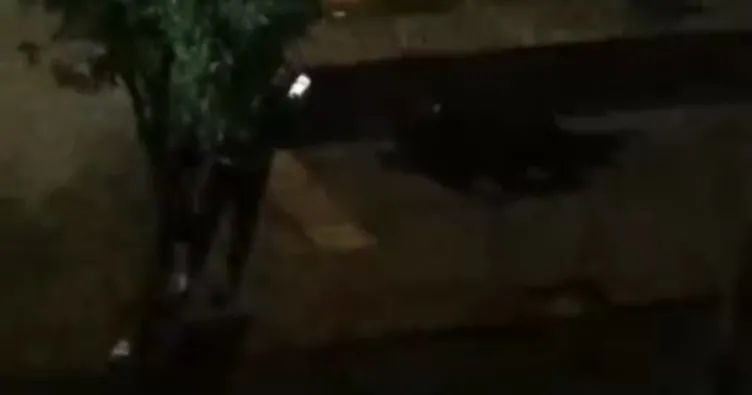 Önce dayak attı sonra fotoğrafını çekti