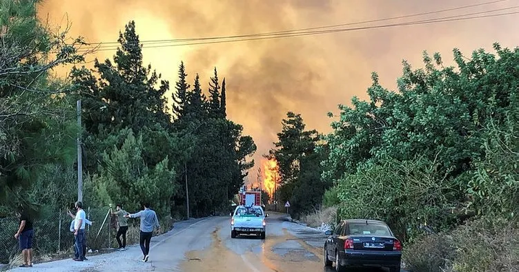 İskenderun’daki orman yangınına soruşturma