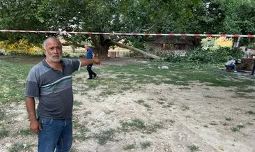 Piknik keyfi kabusa dönüştü! 11 kişi birden acile koştu: Ne olduğunu anlayamadık! #konya