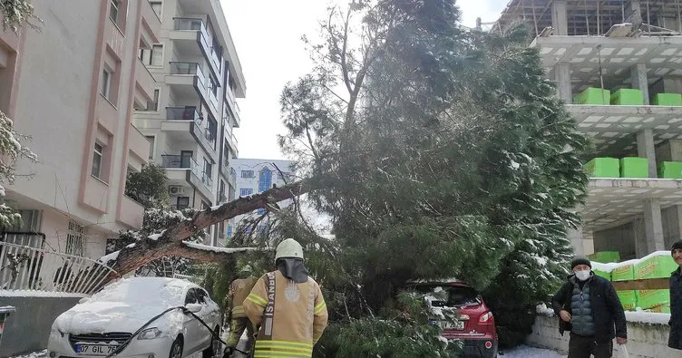 İstanbul’da dallarında kar biriken ağaç otomobilin üzerine devrildi