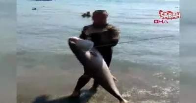 Muğla’da insan boyundaki dev ’Akya’ balığının zıpkınla vurarak yakaladı| Video