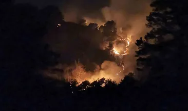 Trabzon’un Of ilçesinde örtü yangınları