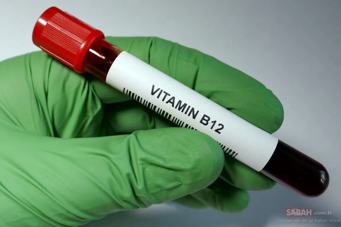 En Iyi B12 Vitamini Urunleri Fitbull