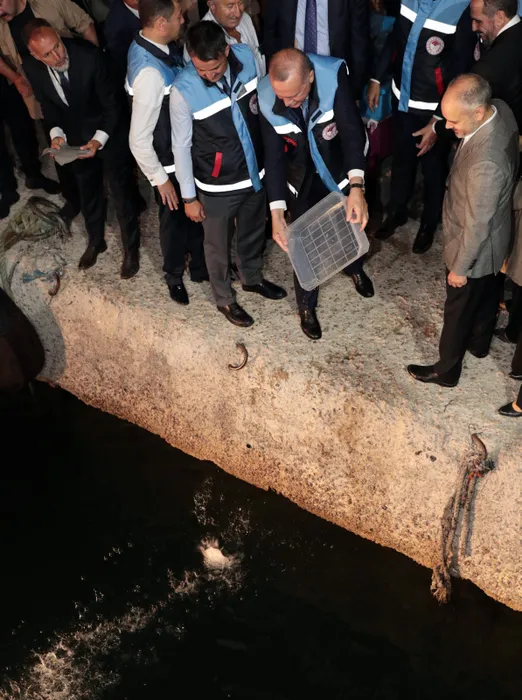 Cumhurbaşkanı Erdoğan, su ürünleri av sezonunun açılış programına katıldı