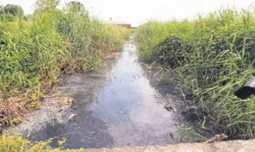 Riva yine pisliğe teslim oldu