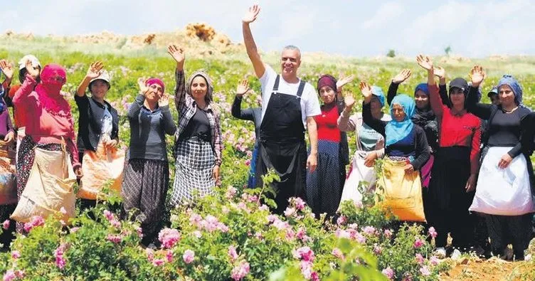 Mardin’de gül bahçesi zamanı