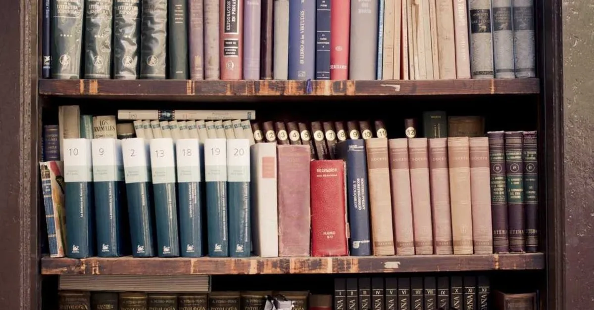 tarih bolumu mezunlari ne is yapar is olanaklari nelerdir tarih mezunlari nerelerde calisir son dakika egitim haberleri tarih bolumu mezunlari ne is yapar is olanaklari nelerdir tarih mezunlari nerelerde calisir son dakika egitim haberleri