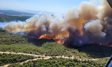 Tarihi yarımadada yangın