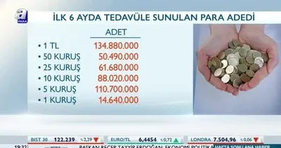460 milyon adet bozuk para kullanımda