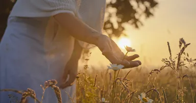 Modern bilim kanıtladı, tasavvuf asırlardır söylüyor: İşte zihni özgürleştiren o sır!