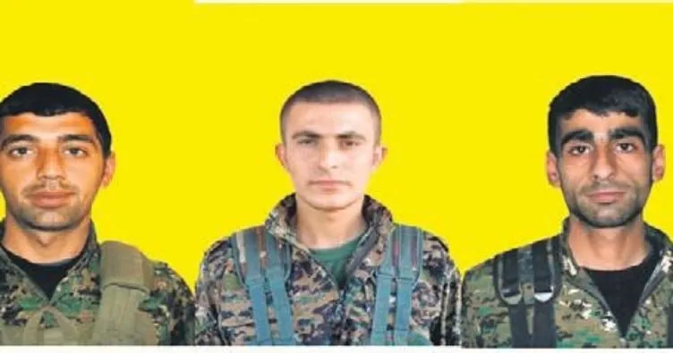 Afrin’de öldürülen teröristlerin bin 200’ü Kandil’den