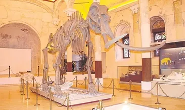 Doğa tarihi ilgi odağı