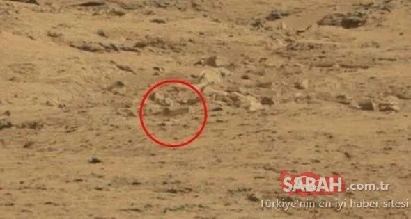 Mars'tan gelen fotoğraflar kan dondurdu! Dünyayı şaşkına çevirdi!