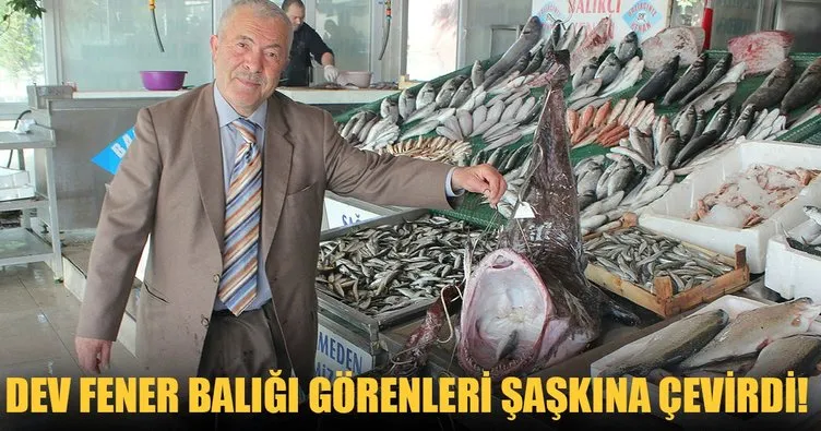Marmara Denizi’nde çıkan dev fener balığı herkesi şaşırttı