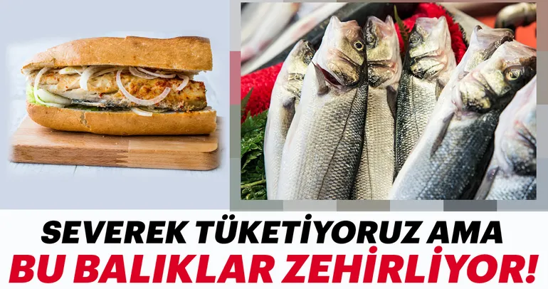 Bu balıklar zehirliyor...