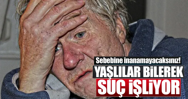 Yalnız yaşlılar bilerek suç işliyor
