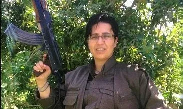PKK-KCK baskını: 158 gözaltı