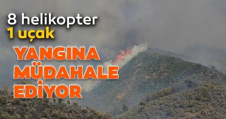 Milas’taki yangına 8 helikopter 1 uçak yangına müdahale ediyor