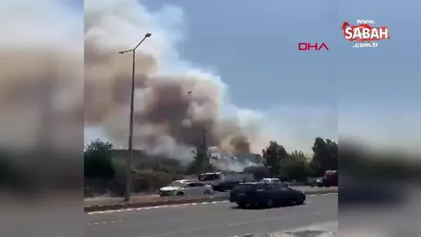 Muğla Milas'ta yangın! Ekiplerin müdahalesi sürüyor | Video