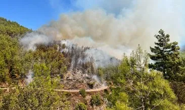 Alanya’da orman yangını söndürüldü