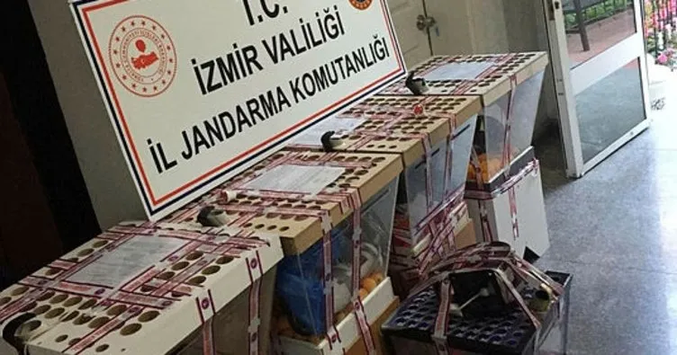 İzmir’de çay ocaklarına kumar baskını