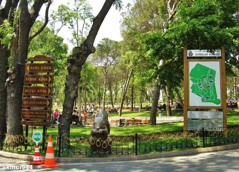 Emirgan Korusu Attractions In Sariyer Istanbul