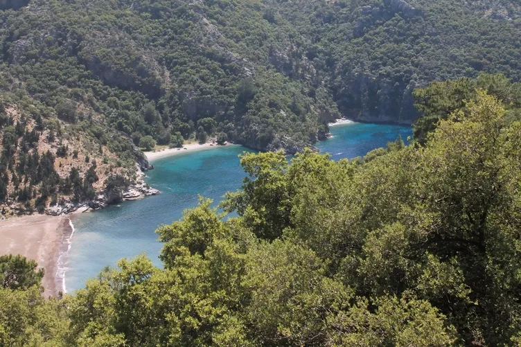 SON DAKİKA | Bodrum’da Lübnanlı işadamına 7.7 milyarlık tuzak! Organize tapu kumpası deşifre oldu