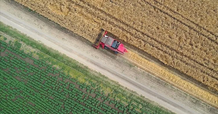 Tarım ÜFE ekimde aylık bazda geriledi