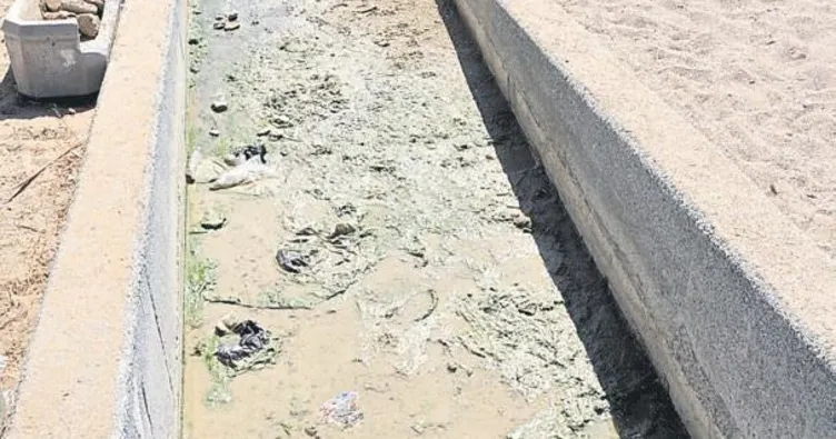 Mavi bayraklı sahili kirlettik