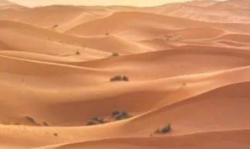 Nijer çölünde 439 göçmen kurtarıldı